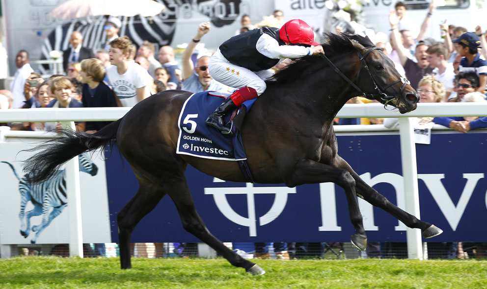 Golden Horn - Race Horse